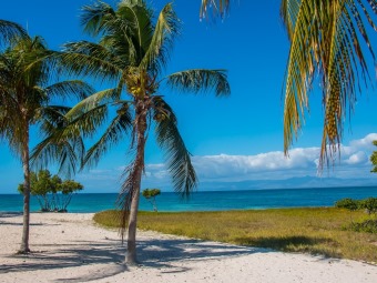 Курорты Курорты